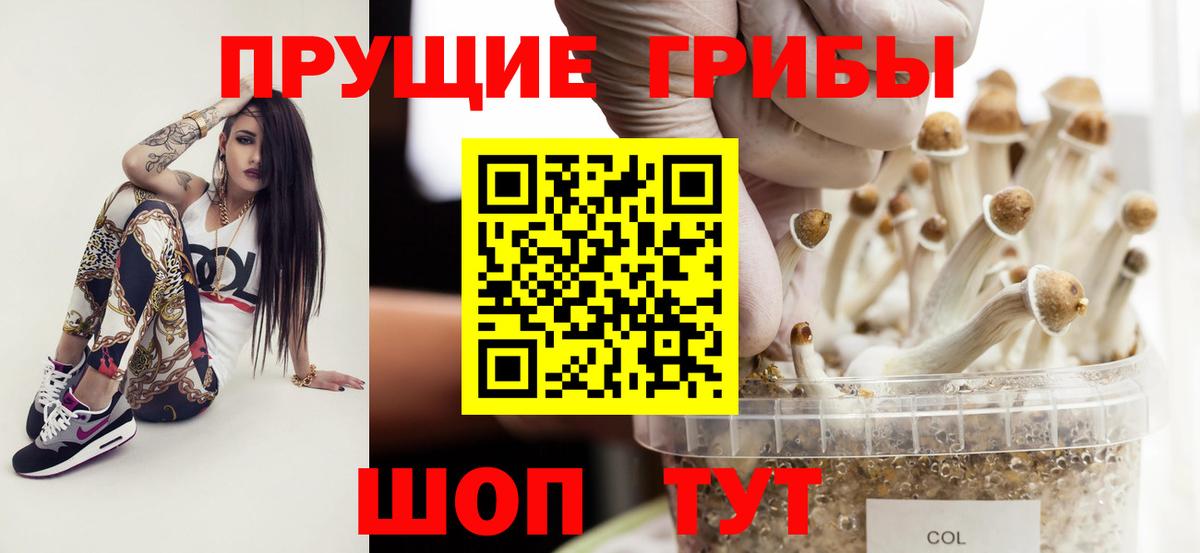 Нефтекумск  Псилоцибиновые грибы GOLDEN TEACHER  Галлюциногенные грибы Psilocybe  Вход с VPN 